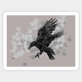 Raven Sticker